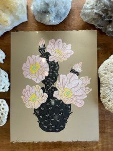 Prickly Pear Bloom