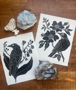 Bird of the Month