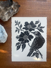 Load image into Gallery viewer, Bird of the Month
