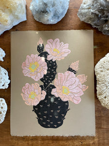 Prickly Pear Bloom