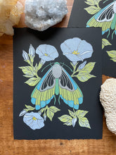 Load image into Gallery viewer, Midnight Moth