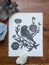 Load image into Gallery viewer, Bird of the Month