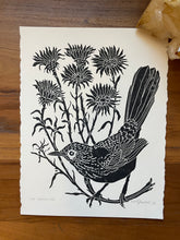 Load image into Gallery viewer, Bird of the Month