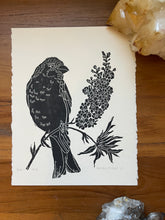 Load image into Gallery viewer, Bird of the Month