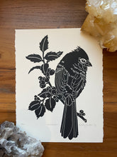 Load image into Gallery viewer, Bird of the Month