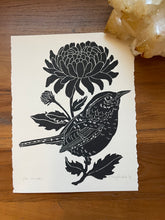 Load image into Gallery viewer, Bird of the Month