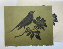 Load image into Gallery viewer, June Robin