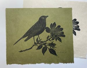June Robin