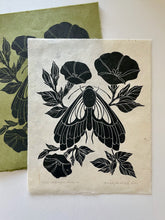 Load image into Gallery viewer, Midnight Moth