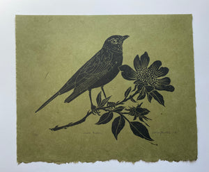 June Robin