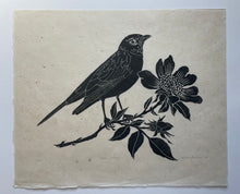 Load image into Gallery viewer, June Robin