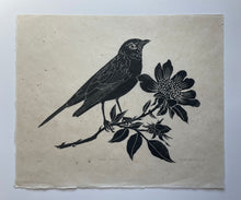 Load image into Gallery viewer, June Robin