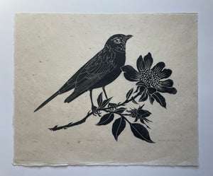 June Robin