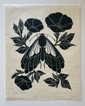 Load image into Gallery viewer, Midnight Moth
