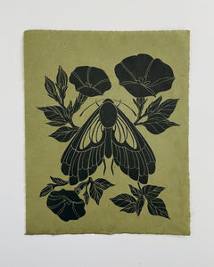 Midnight Moth