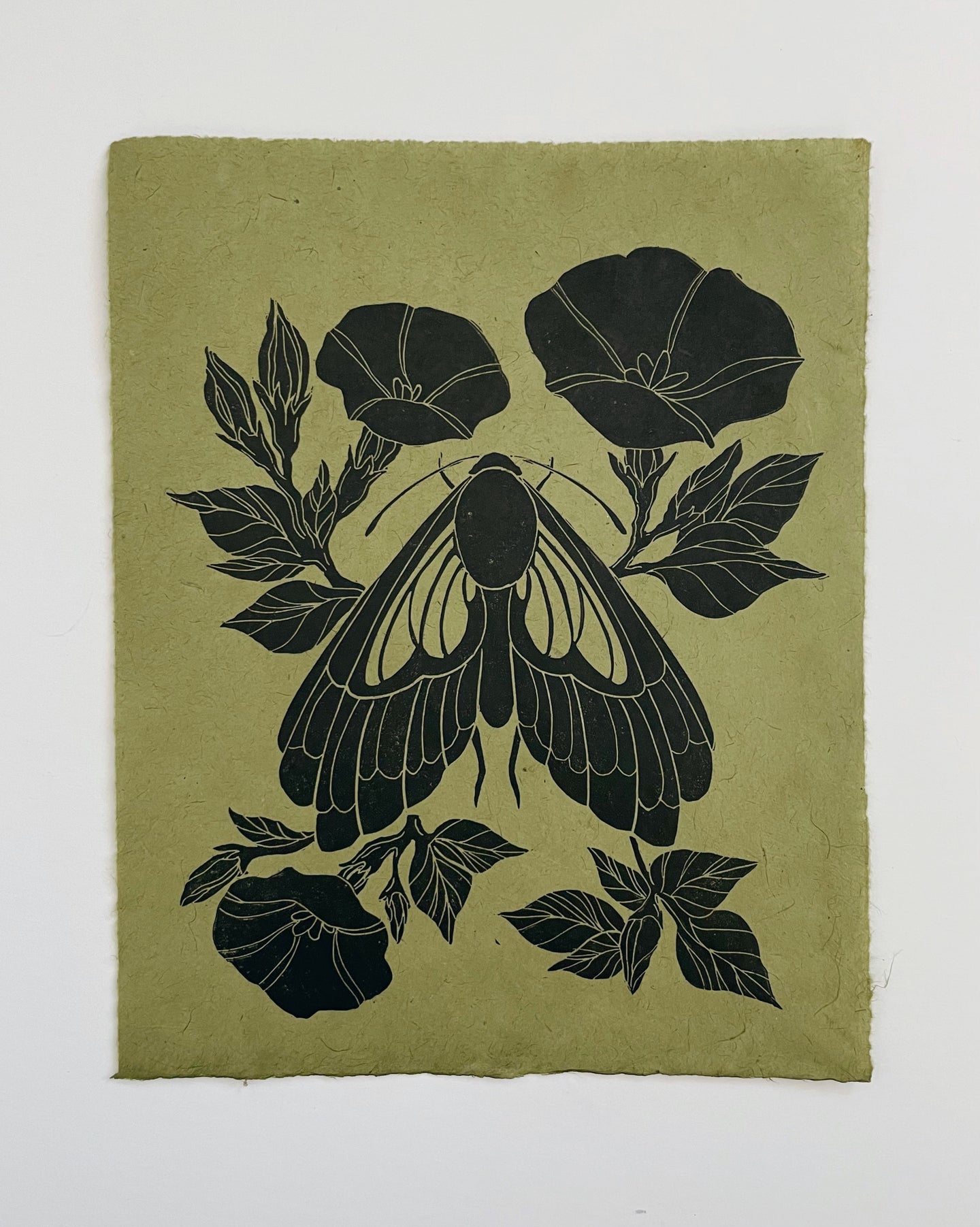 Midnight Moth